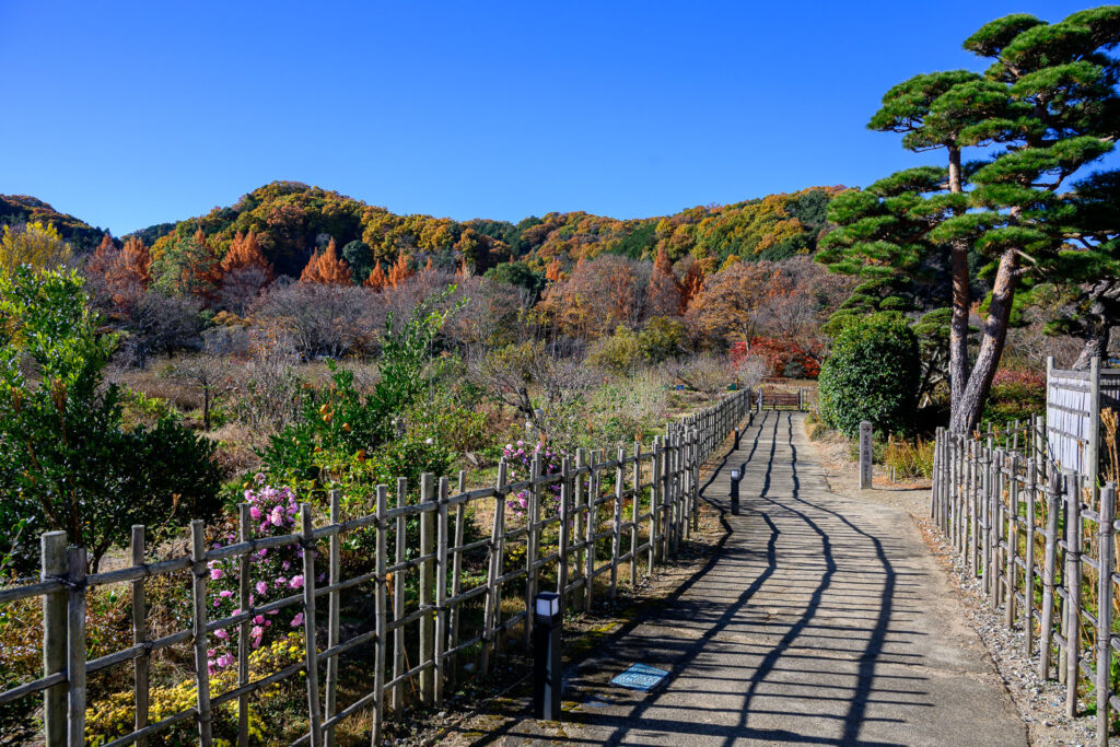 松浦家（秋の景色）