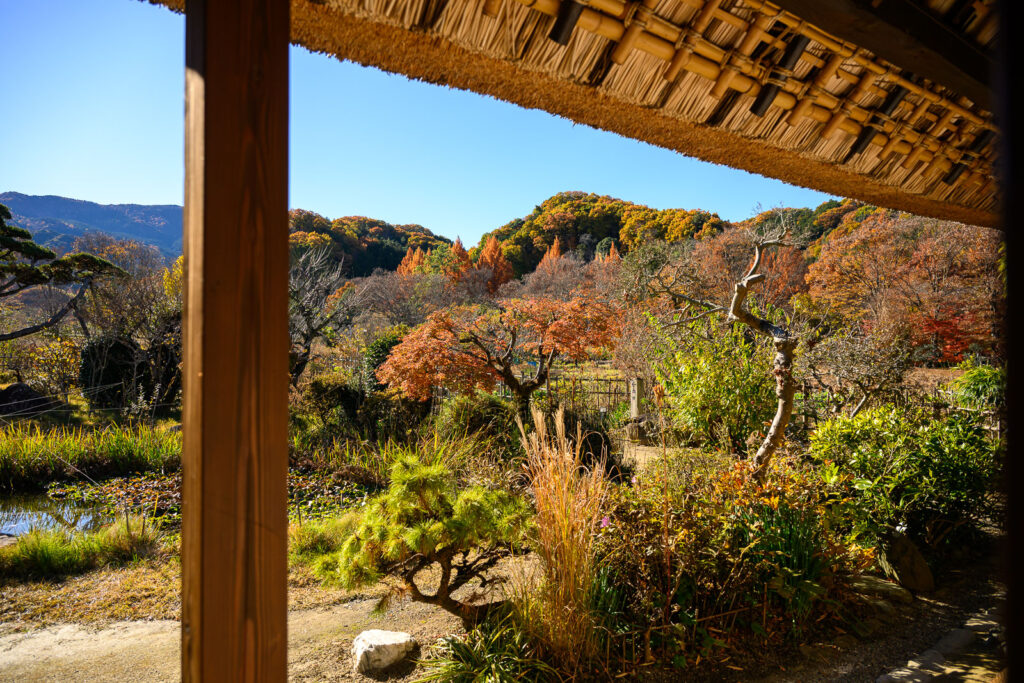 松浦家（秋の景色）