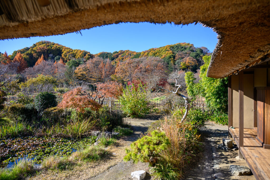 松浦家（秋の景色）