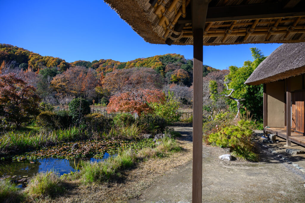 松浦家（秋の景色）