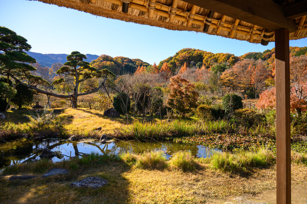 松浦家（秋の景色）