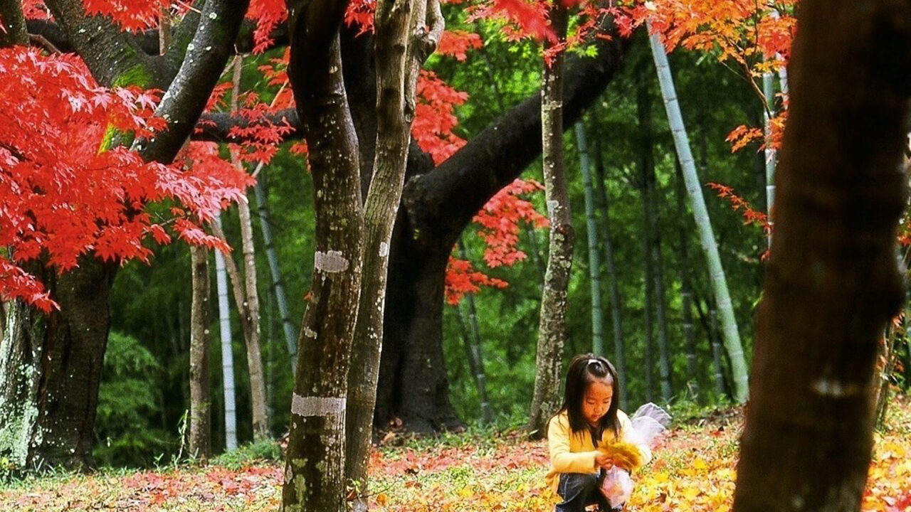 紅葉山公園