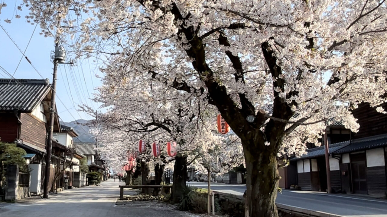 養蚕農家群の町並みと雄川堰桜並木