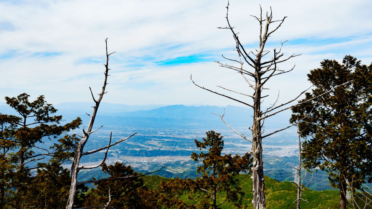 稲含山登山道